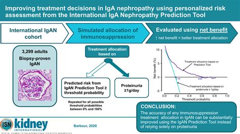 international iga nephropathy prediction tool