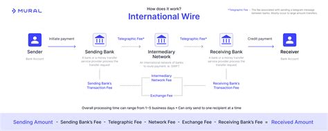 international wire fee