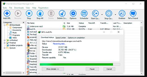 internet download manager alternative for mac