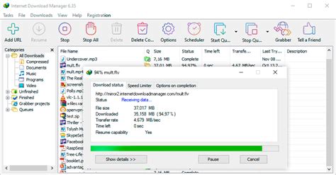 internet download manager file cr