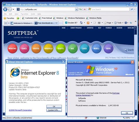 internet explorer 8 windows xp