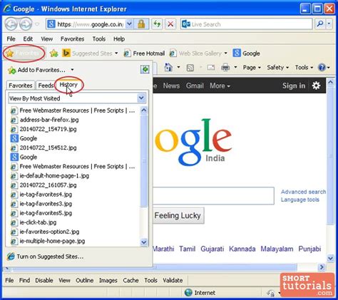 internet explorer browser history view