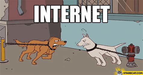 Internet Reality Dogs