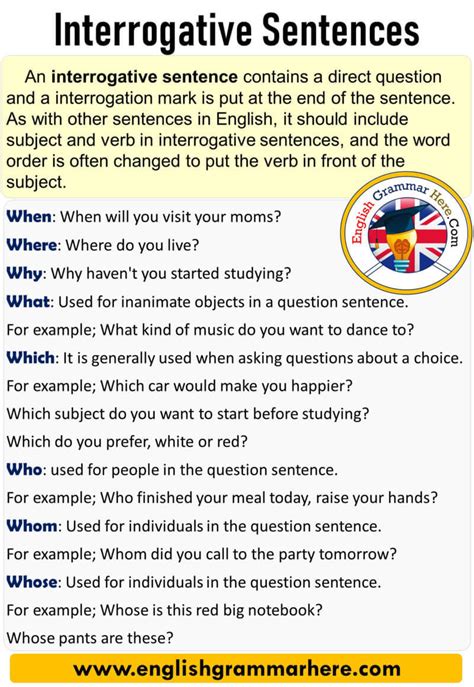 interrogative sentence example with answer for class 5