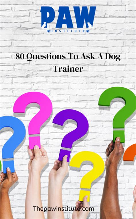 Interview Questions To Ask A Dog Trainer