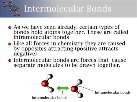 intramolecular vs intermolecular bonds
