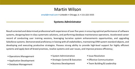 intro summary for resume examples
