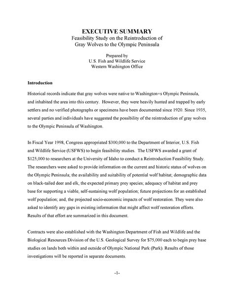introduction of feasibility study example