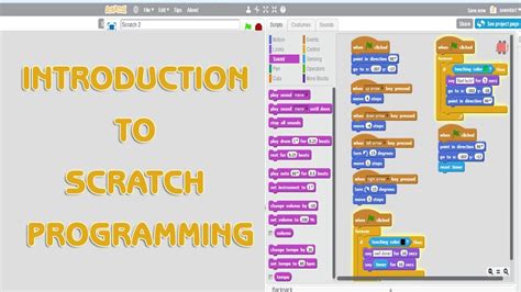 introduction of scratch programming