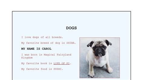 introduction to dogs