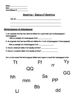 introduction to genotypes and phenotypes worksheet