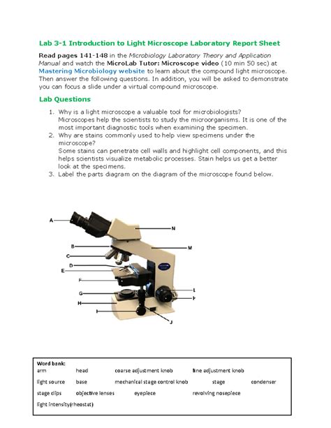 Introduction To Microscopy Lab Answers