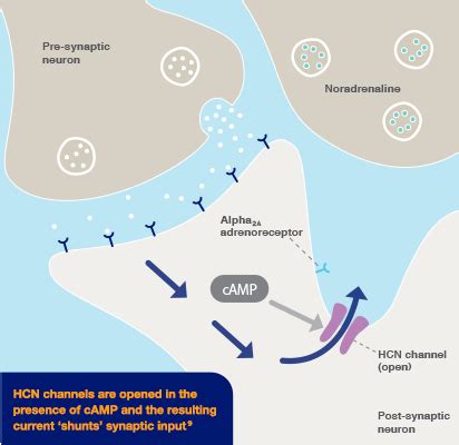 Intuniv and ADHD: Unlocking Effective Treatment Options Today