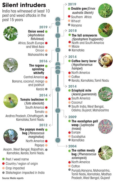 invasive alien species example in india