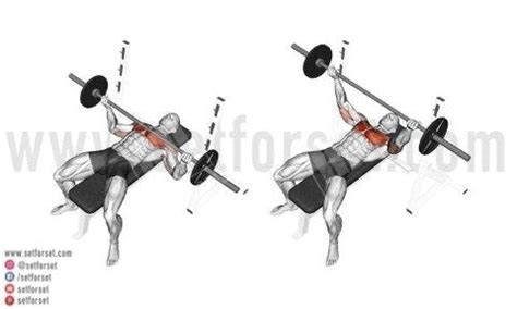 Inverted Bench Press