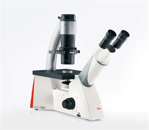 inverted microscope for cell culture