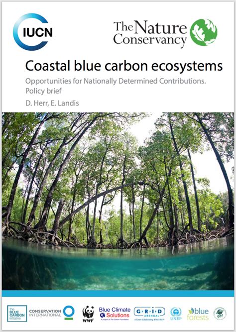 invest coastal blue carbon