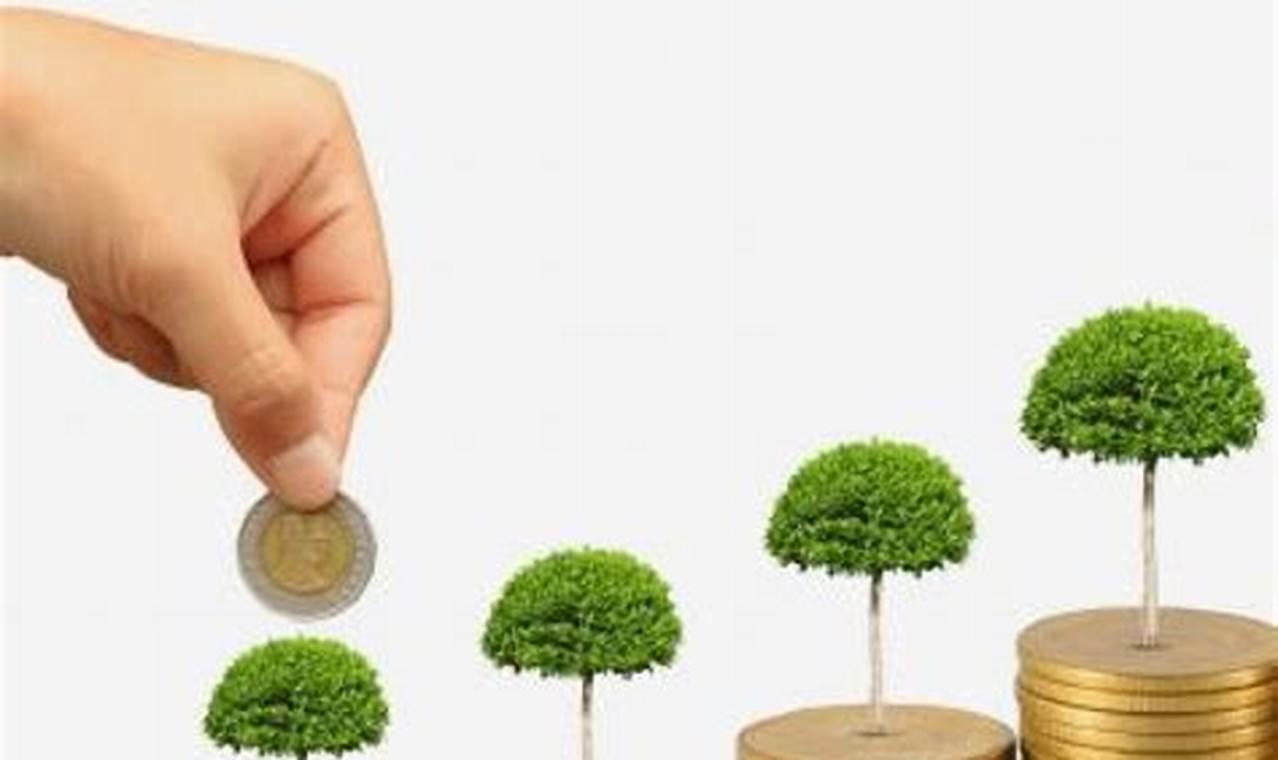 Investasi: A Wise Choice for Growing Your Wealth