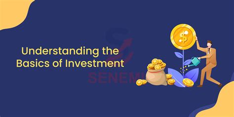 Investment Basics For Beginners