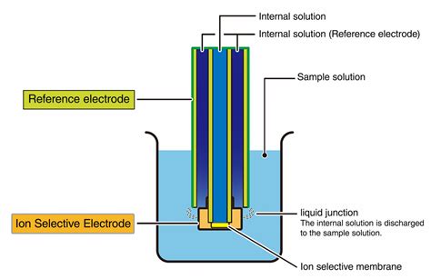 Ion Selective Electrode Explained