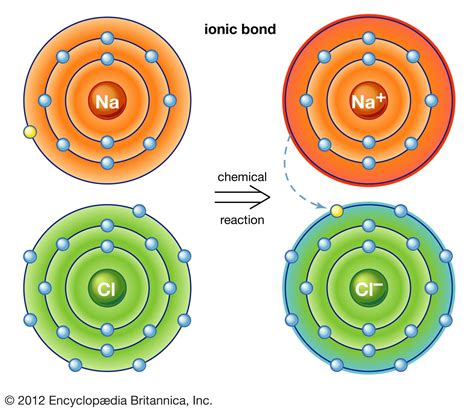 ionic compounds are formed between which two types of elements