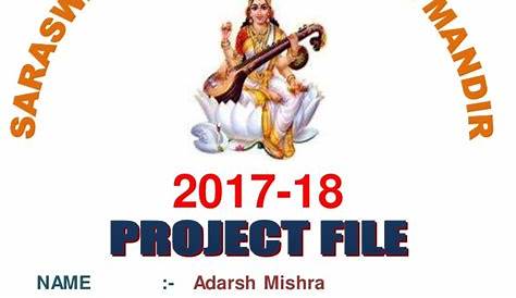 IP project for class 12 cbse
