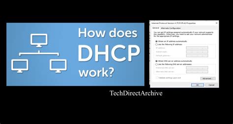 ip assignment automatic dhcp
