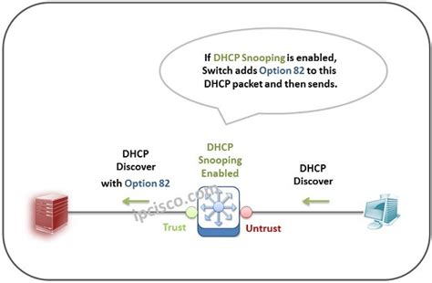 ip dhcp relay information option