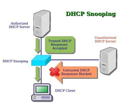 ip dhcp snooping binding