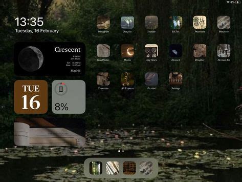 Ipad Homescreen Dark Aesthetic