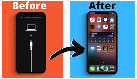 Fix iPhone 7/8 (Plus) Black Screen of Death. No Data Loss