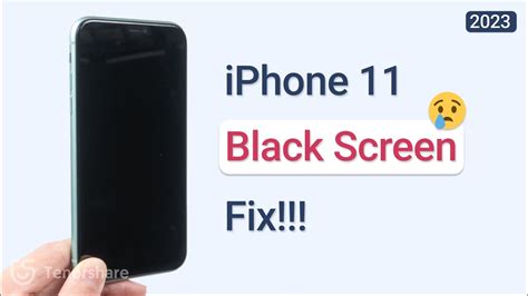 Iphone 11 Screen Turned Black
