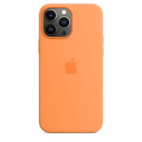 iphone 13 pro max apple case