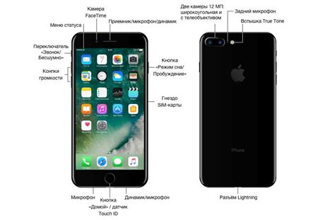 Iphone 8 Speaker And Microphone Location