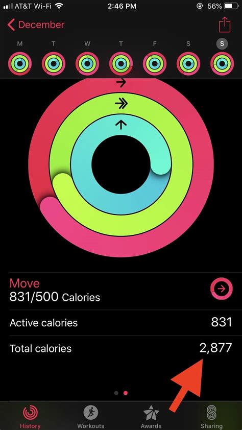Iphone Activity Tracker Total Calories