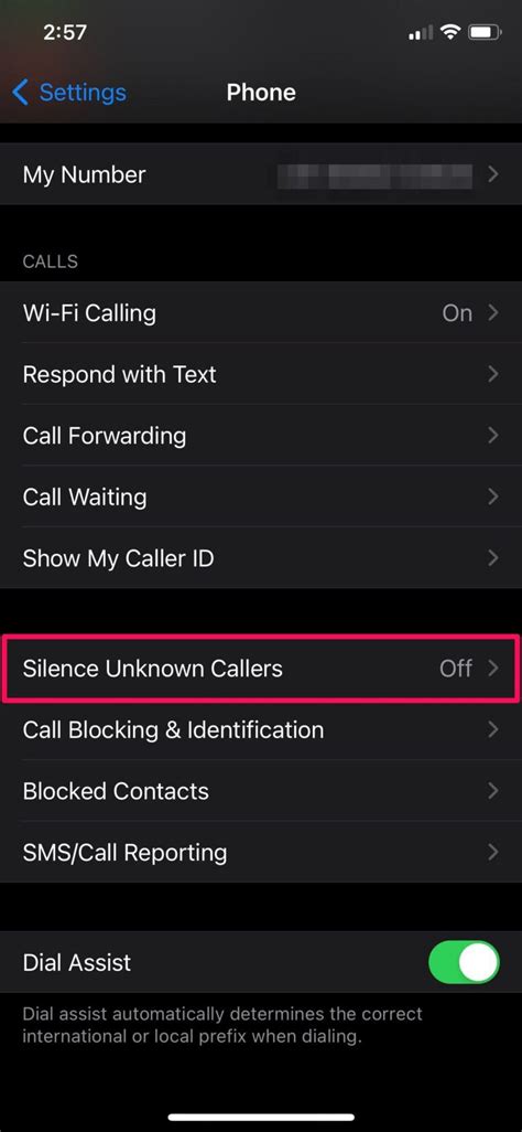 iphone make unknown numbers go to voicemail