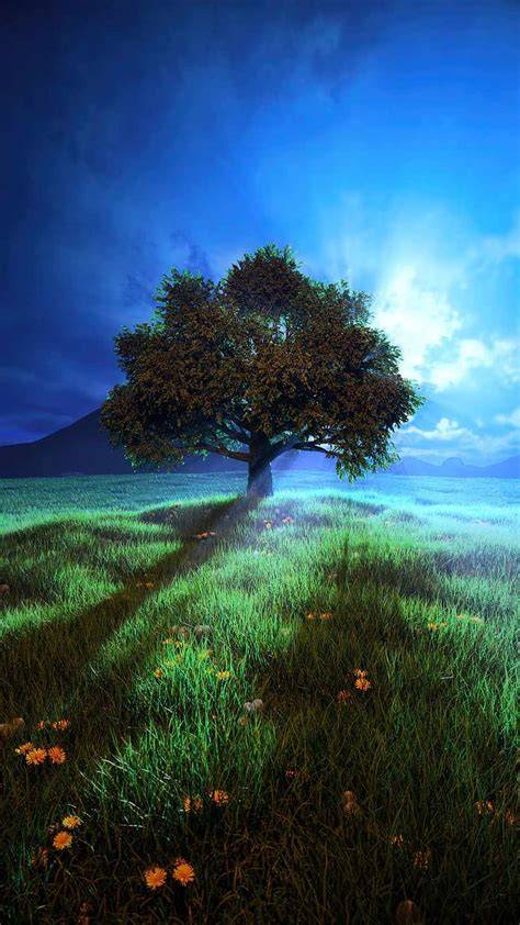 LandscapeTreeiPhoneWallpaper Tree iphone, Landscape trees, Iphone