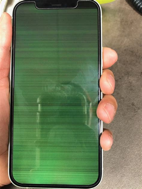 iphone x green screen of death