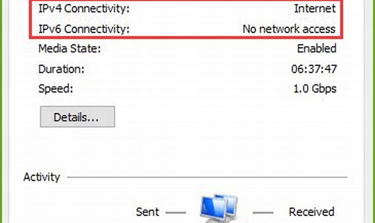 ipv4 connectivity no network access