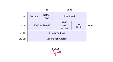 ipv6 header format pdf