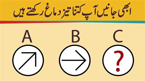 iq level meaning in urdu with example pdf