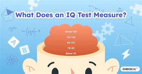 iq test brain