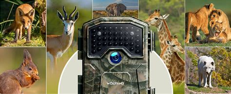 ir wildlife camera