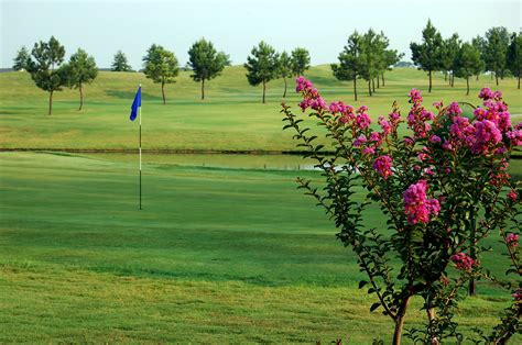 irene golf course memphis