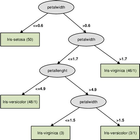 iris dataset decision tree python code