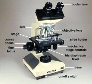 iris diaphragm adjustment microscope function