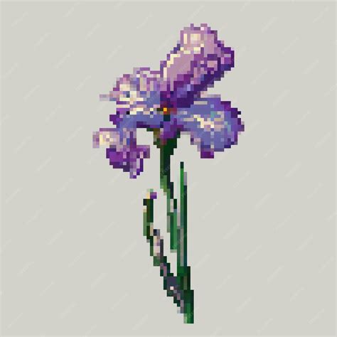 Iris Pixel Art