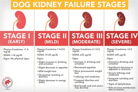 iris staging renal disease dogs