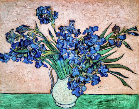 Irises Van Gogh Description