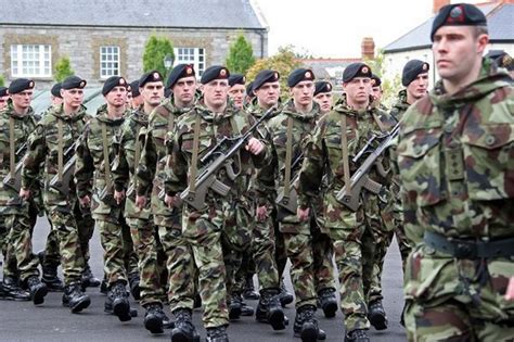irish defence forces review
